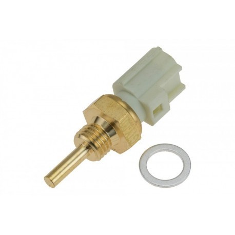 Sensor Temperatura Apai , Eng.1.3 , 89422-06010