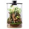 Bioloark Bio Bottle LED ZD200 &ndash; Terrariu cilindric 9,4L cu iluminare naturală, microclimat tropical și design premium