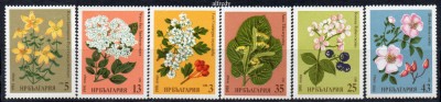 BULGARIA 1981, Flora, serie neuzata, MNH foto