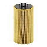 Filtru ulei Mann pentru Bredamenarinibus Vivacy, DEnnis Elite 2, Olympus, Phonix 2