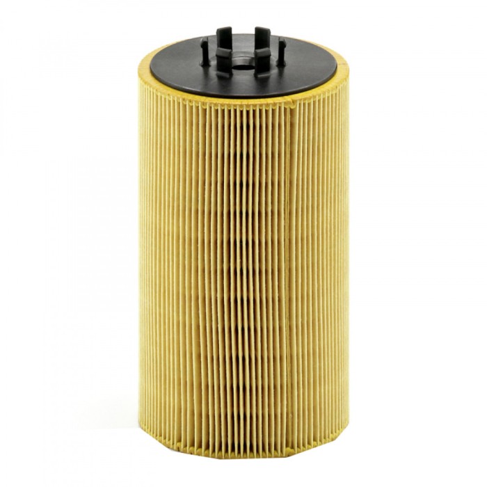 Filtru ulei Mann pentru Bredamenarinibus Vivacy, DEnnis Elite 2, Olympus, Phonix 2