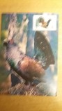 C12 - maxima Romania - tematica pasari 25 - prima zi a emisiunii sau expozitii, Romania de la 1950, Fauna