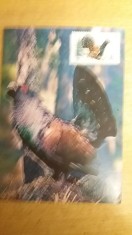 C12 - maxima Romania - tematica pasari 25 - prima zi a emisiunii sau expozitii