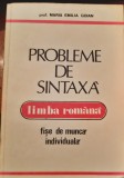 PROBLEME DE SINTAXA FISE DE MUNCA INDIVIDUALA MARIA GOIAN