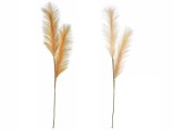 Cumpara ieftin Set 2 flori Pampas artificial 105 cm