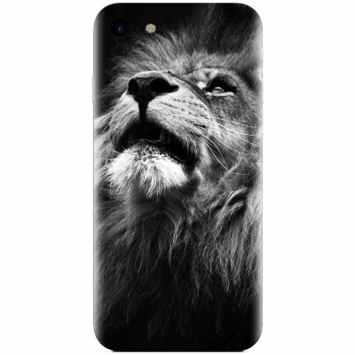 Husa silicon pentru Apple Iphone 8, Majestic Lion Portrait foto