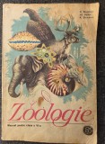 ZOOLOGIE MANUAL PENTRU CLASA A VI-A - Bogoescu, Dabija 1980