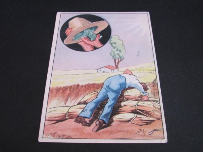 Carte Poștală Vintage Italia &ndash; Sfaturi Agricole, posibil Anii &#039;40/&#039;50