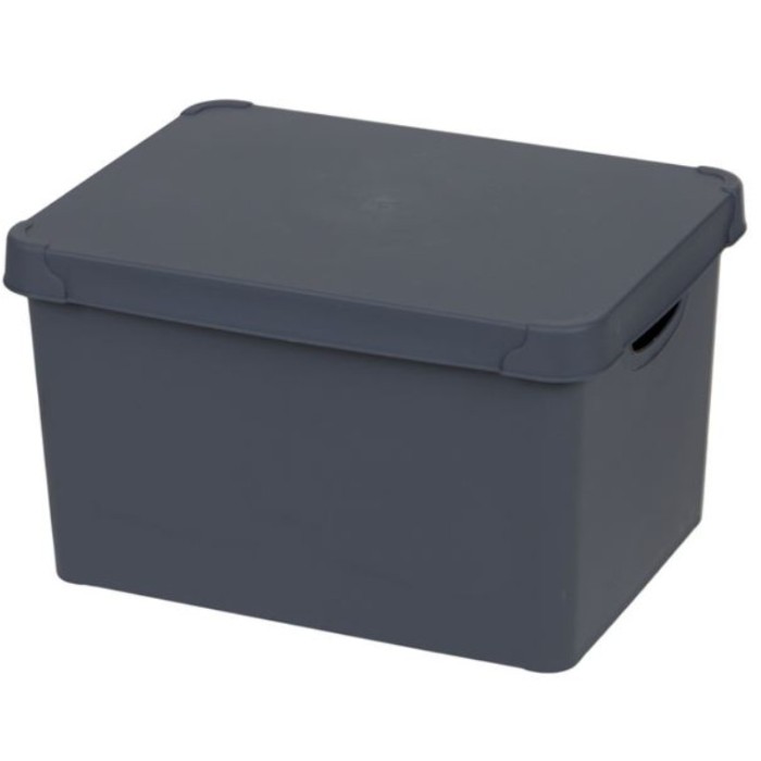 Cutie de depozitare din plastic cu capac, Gri, 20 l