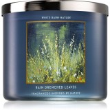 Bath &amp; Body Works Rain Drenched Leaves lum&acirc;nare parfumată 411 g