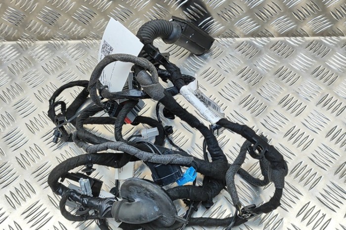 Cablaj ușă dreapta față JAGUAR E-PACE X540 2022 OEM: N9C3-14630-DVA | 32045941