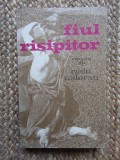 RADU TUDORAN - FIUL RISIPITOR