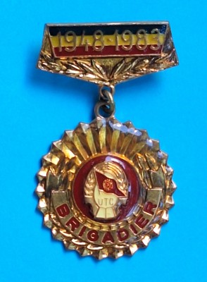 Santierele Nationale ale Tineretului aniversare 35 de ani 1983 - insigna RSR foto