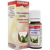 Ulei Esential de Eucalipt 10ml