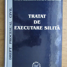 TRATAT DE EXECUTARE SILITA - SAVELLY ZILBERSTEIN