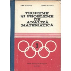 Teoreme si probleme de analiza matematica - Sorin Radulescu