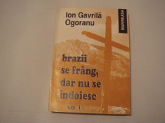Brazii se frang, dar nu se indoiesc - Ion Gavrila-Ogoranu Editura Marineasa 1993 foto