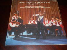 Nincs A Puszt&aacute;n R&oacute;zsabokor - C&acirc;ntece maghiare, Gipsy Band, Vinil, Ungaria,1981