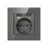 Priza de Perete cu 2 Porturi USB si Rama din Sticla Techstar&reg; TS-GL, 110-250V, 16A, Ignifuga, 86x86mm, Gri, 1