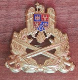 QW14 - Emblema militara / cuc - Uscat - piesa de colectie