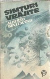 Simturi vrajite - Alberto Bevilacqua, Roman, Editie 1992, Fundatiei Culturale Romane, 220 pagini, Carti Rare