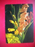 HOPCT 25095 GLADIOLE FLORI- FELICITARE ANIVERSARA -CP VECHE -IP--INTREG POSTAL - ROMANIA - CIRCULATA