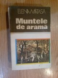 G0 Muntele de arama - Elena Matasa
