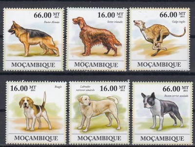 Mozambic - CAINI - MNH - Michel = 23,00 Eur. foto
