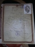 Document vechi 1929,certificat de studii liceale,document oficial,T. GRATUIT