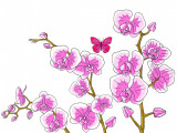 Sticker decorativ, Orhideie, 150 cm, 399STK-4