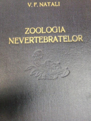 ZOOLOGIA NEVERTEBRATELOR- V.F. NATALI, BUC.1954 * PREZINTA SUBLINIERI foto