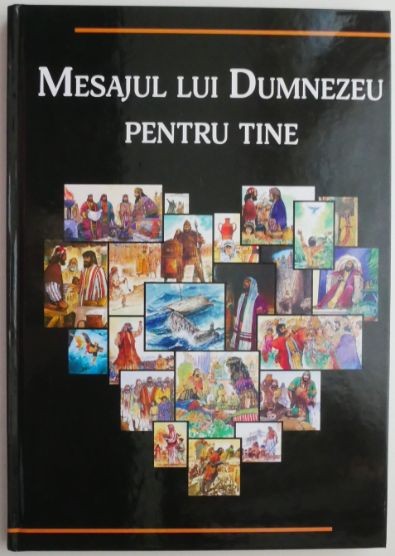Mesajul lui Dumnezeu pentru tine. Povestiri biblice ilustrate pentru tineri &ndash; Scott Hayes, Lynn R. Camp