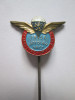 Rara! Insigna al 4-lea campionat mondial de parasutism Bratislava 1958, Europa