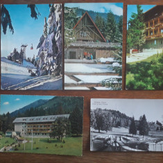 Lot 5 carti postale vintage cu Poian Brasov / CP1