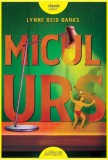 Micul Urs - Lynne Reid Banks, Carte de Povesti pentru Copii