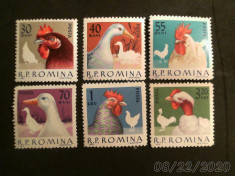 ROMANIA - &amp;quot;PASARI de RASA(CURTE)&amp;quot;,1963 , serieta MNH foto