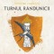 Turnul Randunicii, Andrzej Sapkowski - Editura Nemira