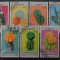 TS24/01 Timbre Mongolia - serie cactusi