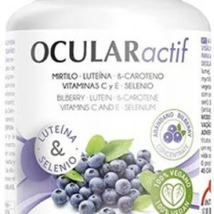 Supliment alimentar cu Afine, Luteina, Beta-caroten Ocular actif, 45 cps 30,15g Intersa Labs