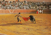 Spania - 1990 - Toreador cu taurul în arenă - Bullfight - Corrida de Toros, Necirculata, Fotografie