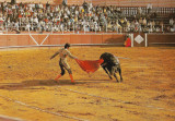 Spania - 1990 - Toreador cu taurul &icirc;n arenă - Bullfight - Corrida de Toros, Necirculata, Fotografie