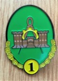 INSIGNA MILITARA, TEHNICA/INGINERIE, CLASA 1