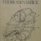 TRANSMISII HIDRODINAMICE-L. SANDOR, P. BRANZAS, I. RUS-234012