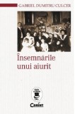 Insemnarile unui aiurit | Gabriel Dumitru Culcer, 2021, Corint