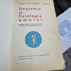 Anatomia si fiziologia omului, manual pentru clasa a XI-a de liceu si anii II si III licee de specialitate - N. Santa