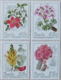 NAMIBIA-- FLORI LOCALE-NAM 09, Africa, Fauna