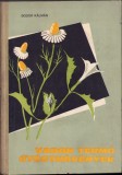 C4223N Vadon termő gy&oacute;gyn&ouml;v&eacute;nek irta Bodor K&aacute;lm&aacute;n, 1963
