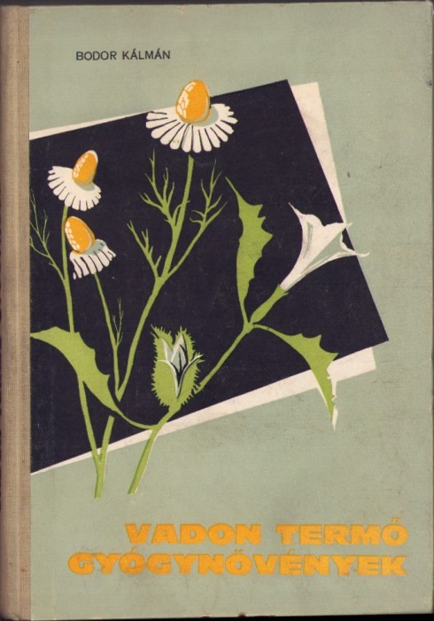 C4223N Vadon termő gy&oacute;gyn&ouml;v&eacute;nek irta Bodor K&aacute;lm&aacute;n, 1963