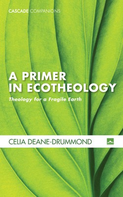 A Primer in Ecotheology foto