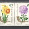 Ungaria.1963 Ziua marcii postale:Flori-streif DF.366